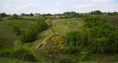 Photo du mountainboard park des MTBB